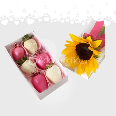 Caja de fresas achocolatadas  Regalo para Mujer en Armenia Pedido Con Un Día De Anticipación