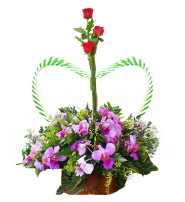 Arreglo Floral Con Orquídeas A Domicilio En Cali
