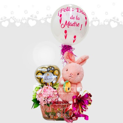 Regalo Especial Con Peluche Y Chocolates Para Mamá A Domicilio En Cali 