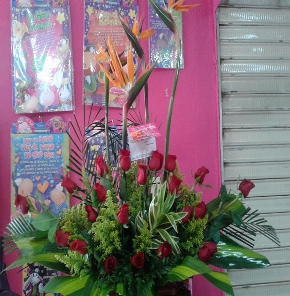 DISEÑO JARDIN No 19