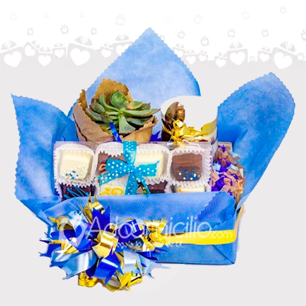 Regalo Para Hombre y Mujer Con Chocolates Y Suculenta A Domicilio En Medellín Pedido Con 2 Días De Anticipación