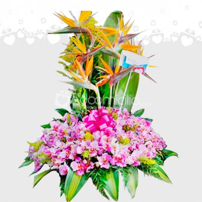 Arreglo Con Flores Exóticas Y Orquídeas A Domicilio En Cali