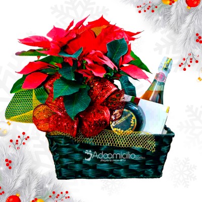 Ancheta Para Navidad Con Planta De Poncentia A Domicilio En Medellín Pedido Con Un Día De Anticipación 