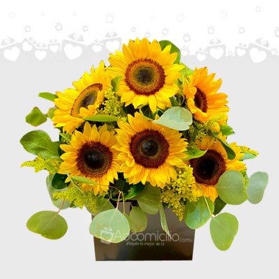 Arreglo Floral Con Girasoles A Domicilio En Bucaramanga 