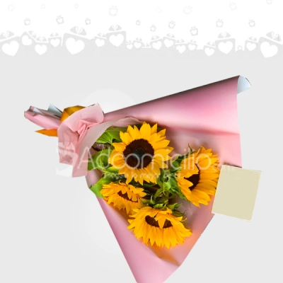 Bouquet Con Girasoles Para Mujer A Domicilio En Armenia Pedido Con Un Día De Anticipación
